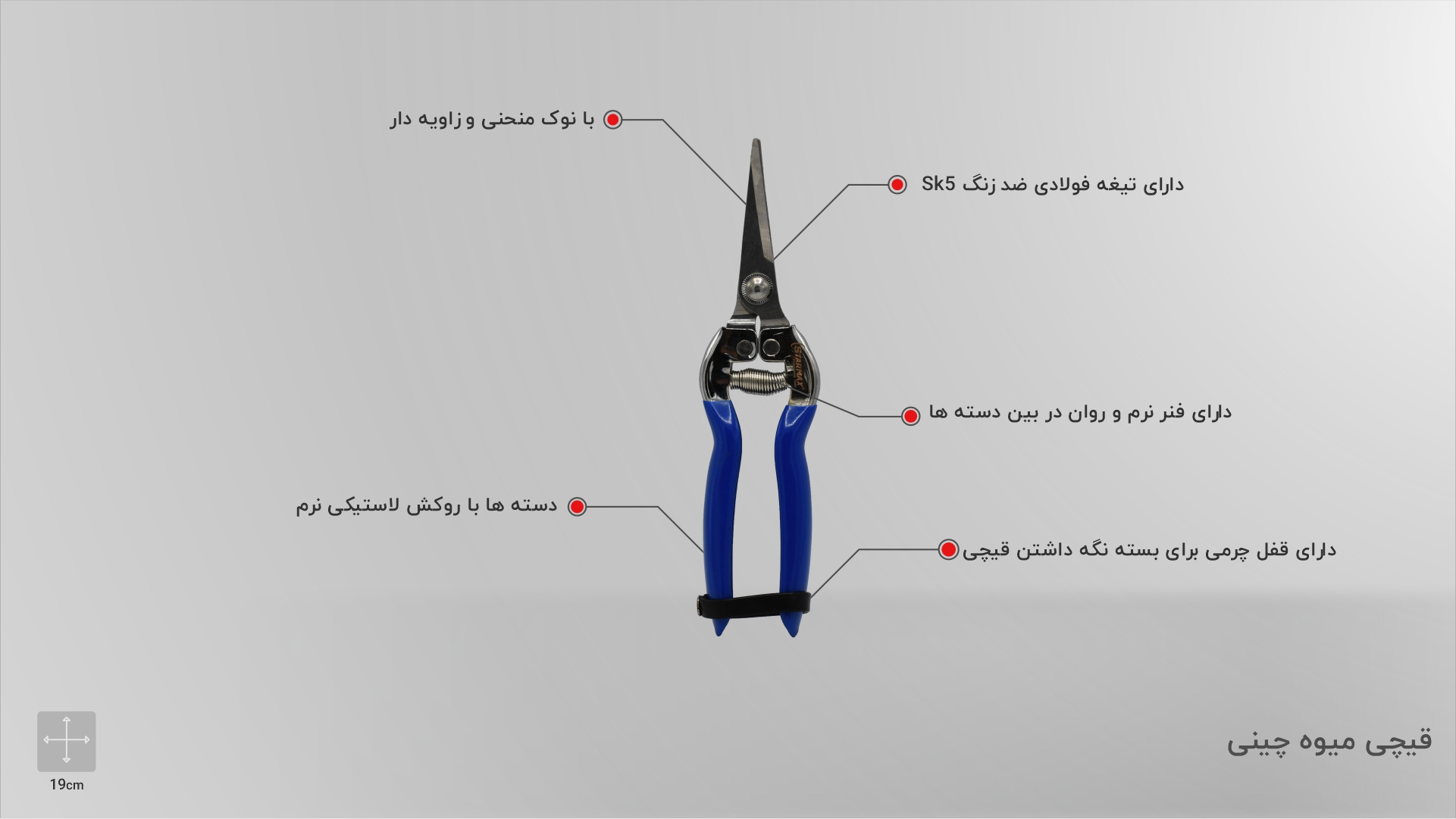 قیچی میوه چینی