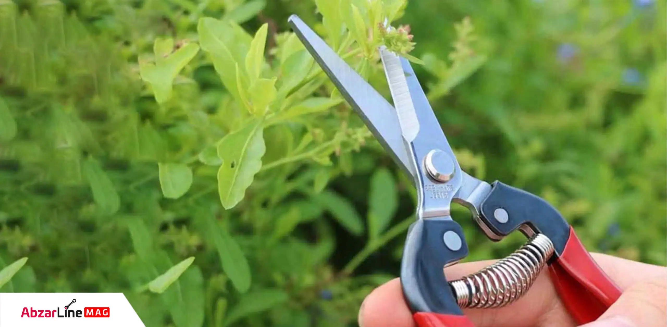 قیچی باغبانی