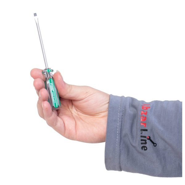 مجموعه 6 عددی پیچ گوشتی پروسکیت مدل 9106-SW